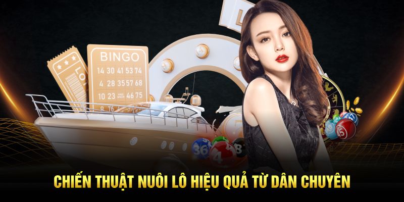                                    Chiến thuật nuôi lô hiệu quả từ dân chuyên