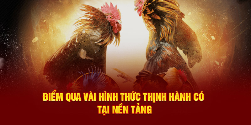 Điểm qua vài hình thức thịnh hành có tại nền tảng