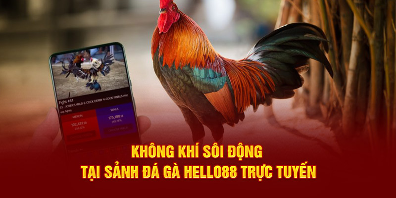 Không khí sôi động tại sảnh đá gà Hello88 trực tuyến