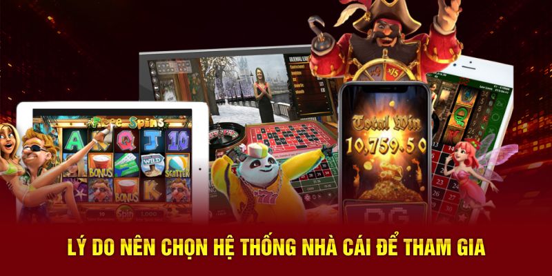 Lý do nên chọn hệ thống nhà cái để tham gia