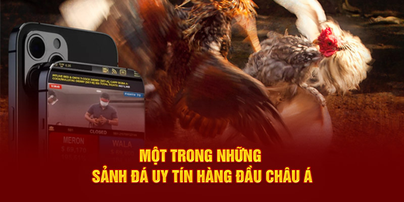 Một trong những sảnh đá uy tín hàng đầu châu á