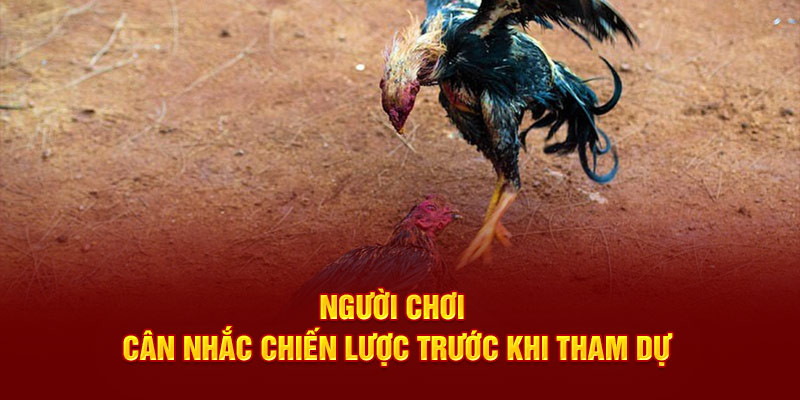 Người chơi cân nhắc chiến lược trước khi tham dự