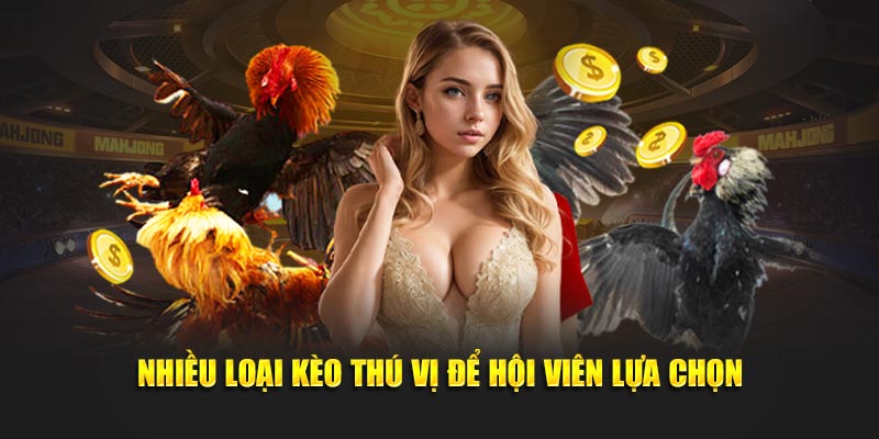 Nhiều loại kèo thú vị để hội viên lựa chọn