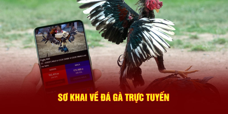 Sơ khai về đá gà trực tuyến